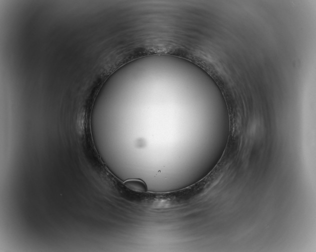 X0000089900647200707192033