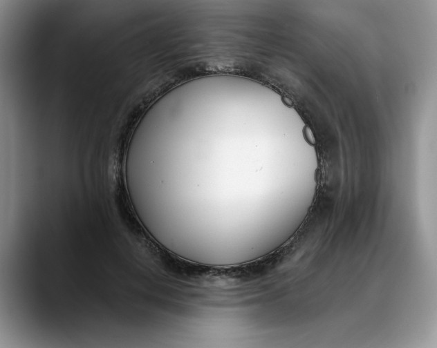 X0000089900648200707192033