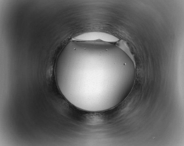 X0000089900652200707192033