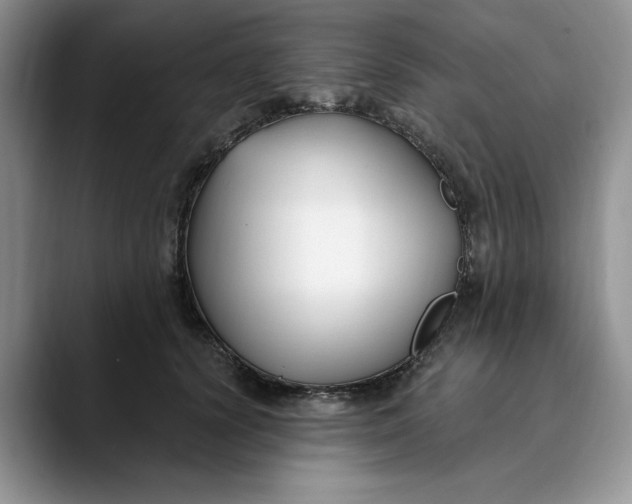X0000089900656200707192033