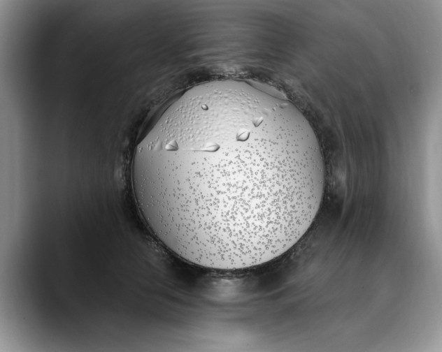 X0000089900658200707192033