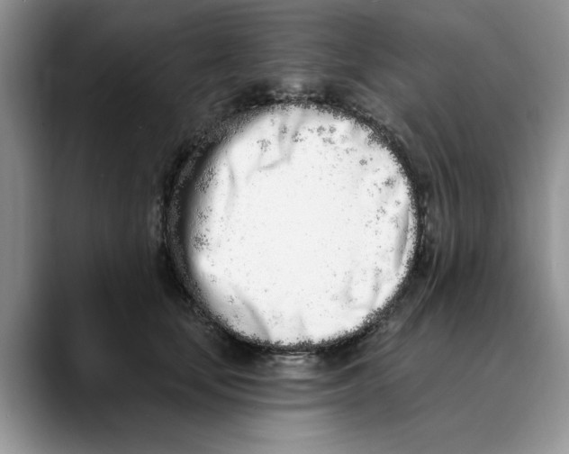 X0000089900659200707192033