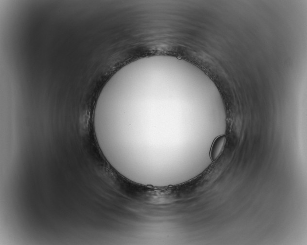 X0000089900660200707192034