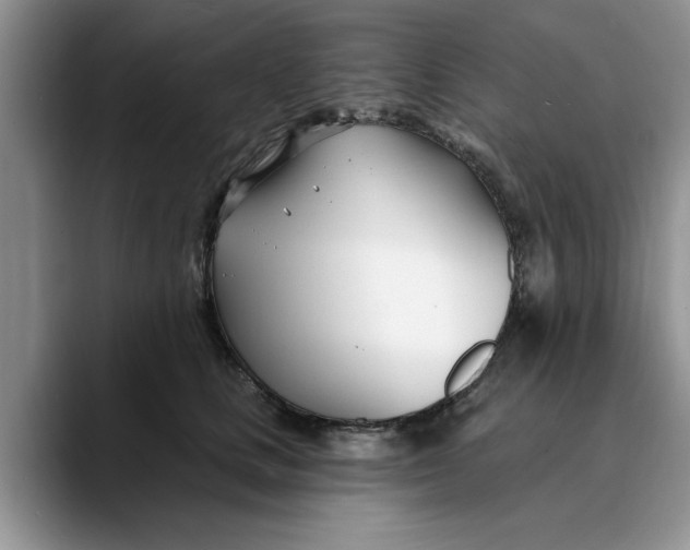 X0000089900661200707192034
