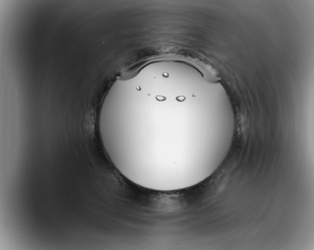 X0000089900664200707192034