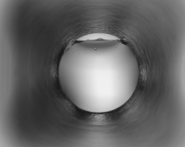 X0000089900665200707192034