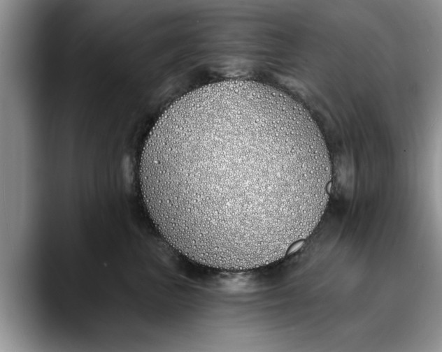 X0000089900667200707192034