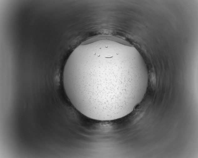 X0000089900668200707192034