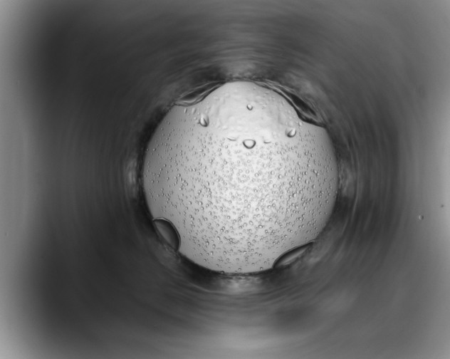 X0000089900670200707192034