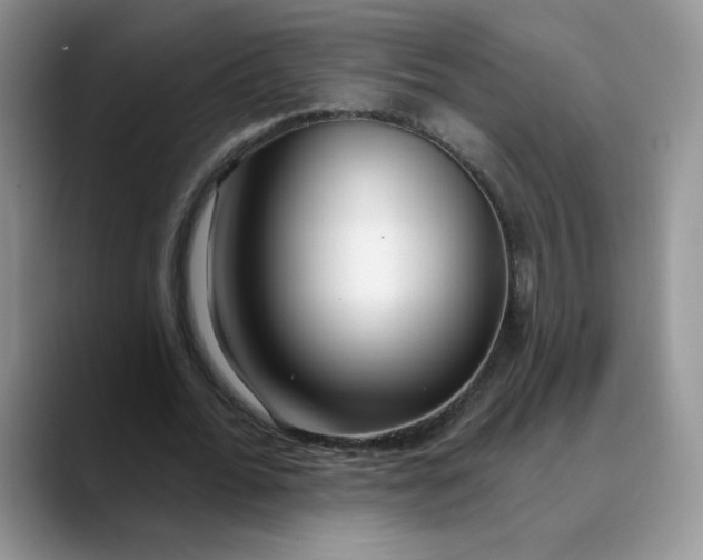 X0000089900676200707192033