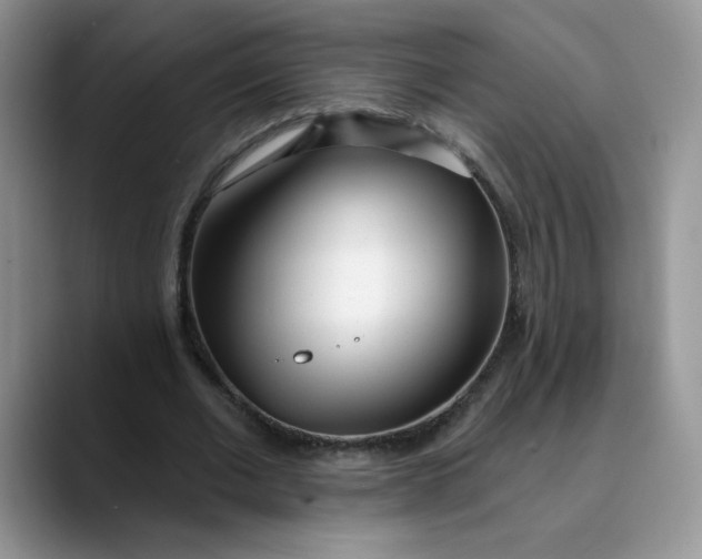 X0000089900677200707192033