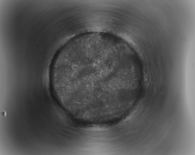 X0000089900678200707192033