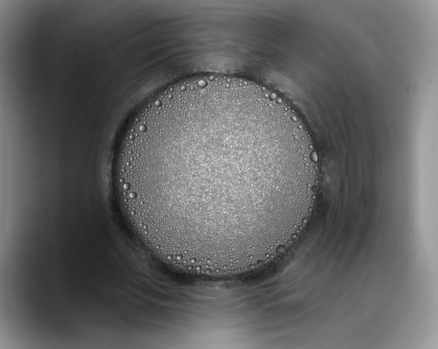 X0000089900679200707192033