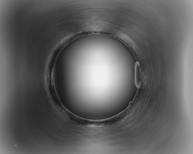 X0000089900680200707192033