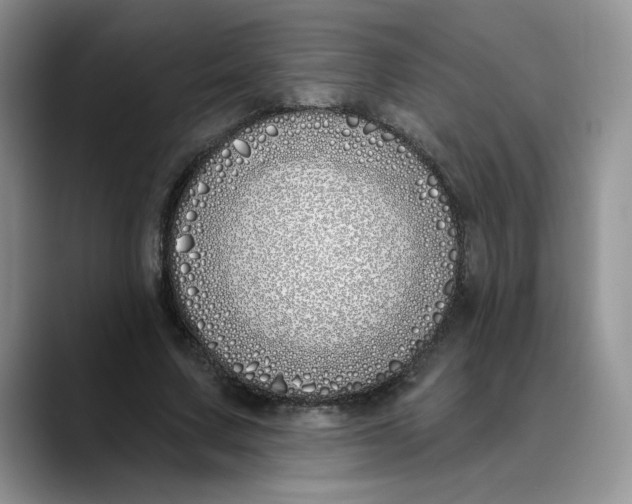 X0000089900683200707192033