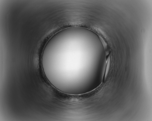 X0000089900684200707192033