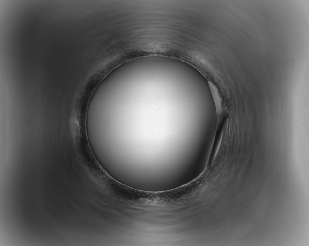 X0000089900688200707192033