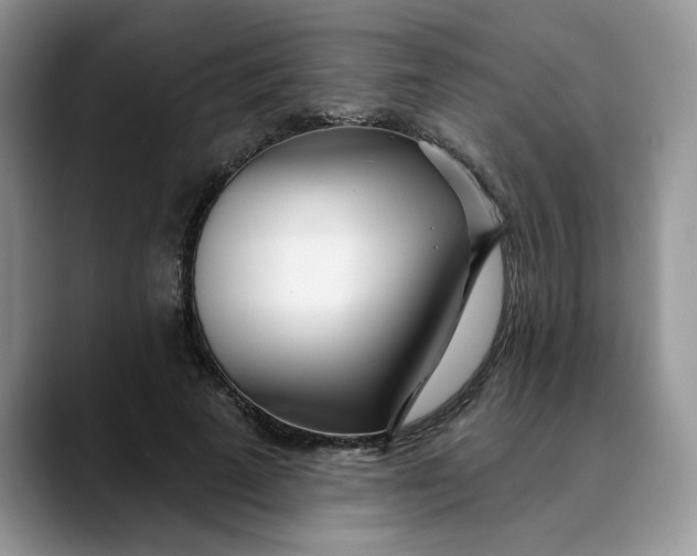 X0000089900689200707192033