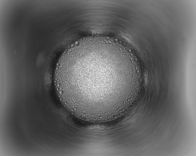 X0000089900691200707192033