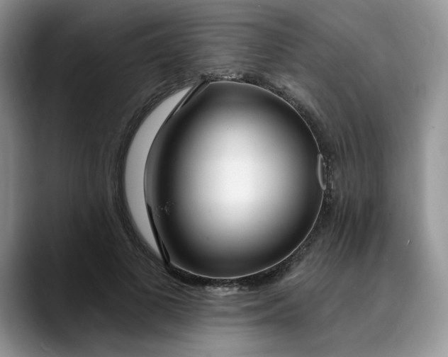 X0000089900693200707192033