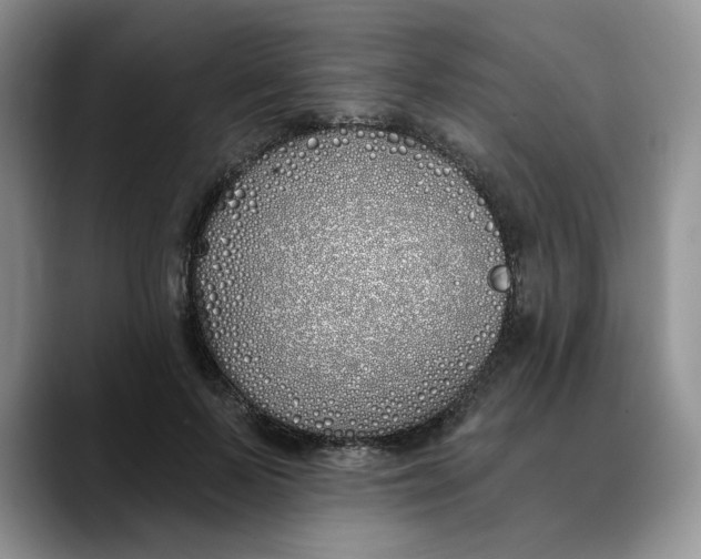 X0000089900695200707192033
