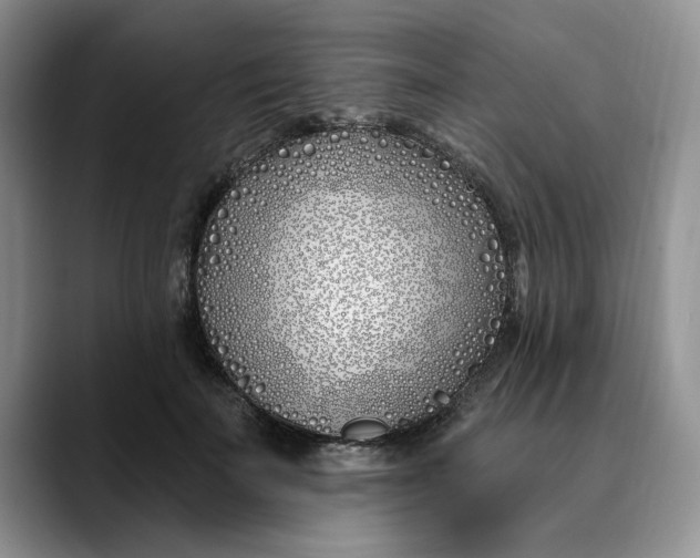 X0000089900699200707192033
