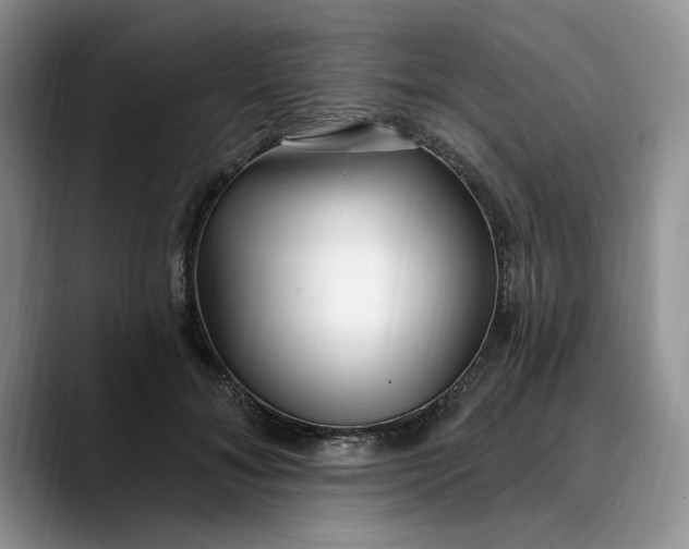 X0000089900700200707192033