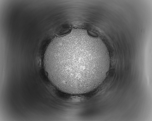 X0000089900703200707192033