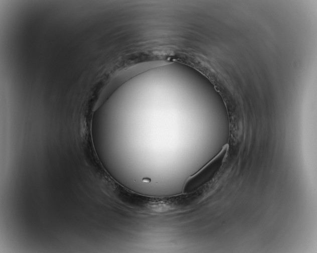X0000089900704200707192033