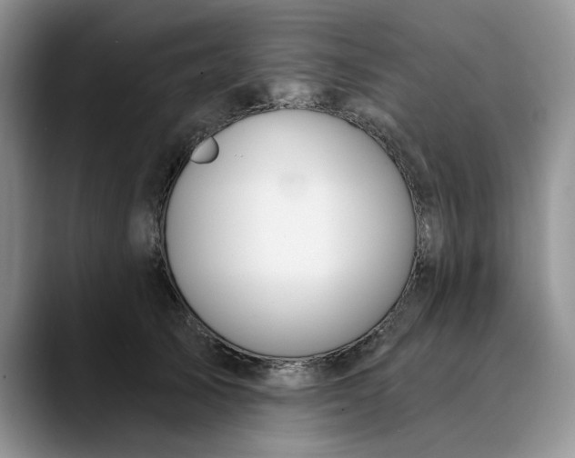 X0000089900705200707192033