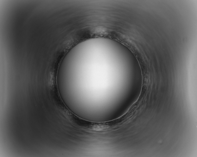 X0000089900708200707192033