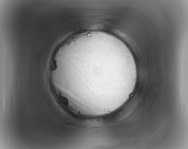 X0000089900721200707192032