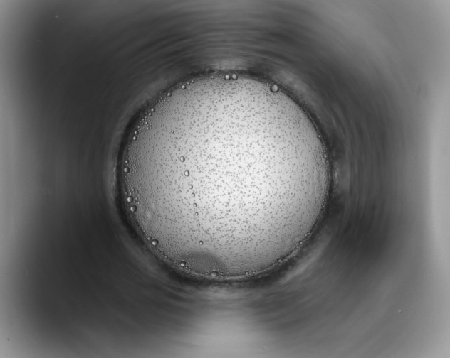 X0000089900725200707192032