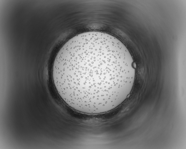 X0000089900734200707192032