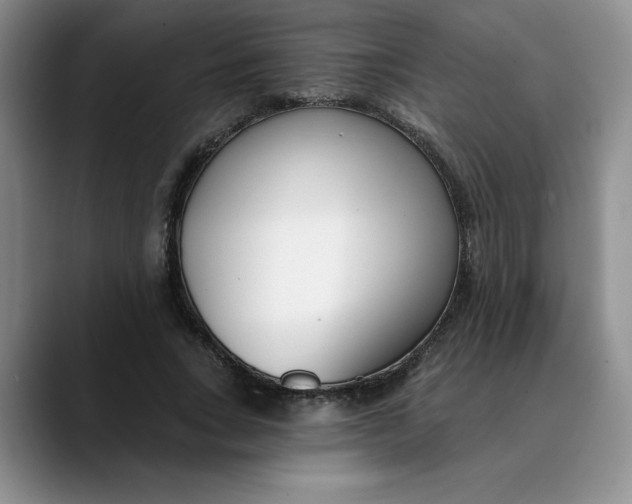 X0000089900735200707192032