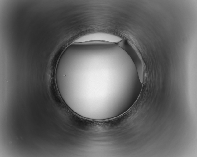 X0000089900736200707192032