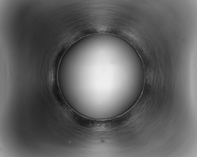 X0000089900740200707192032