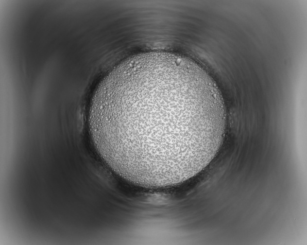 X0000089900741200707192032
