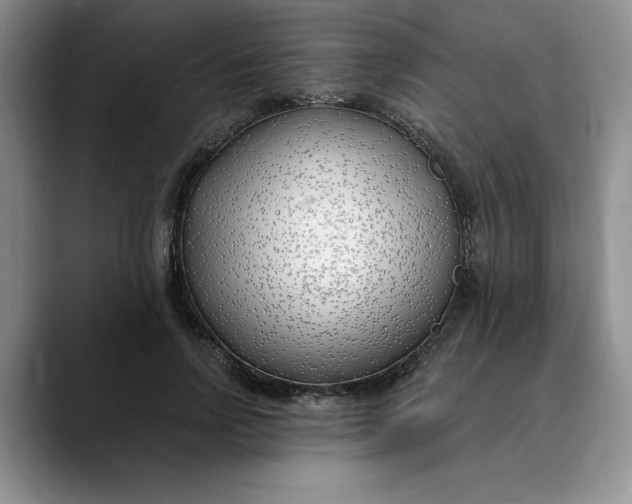 X0000089900742200707192032