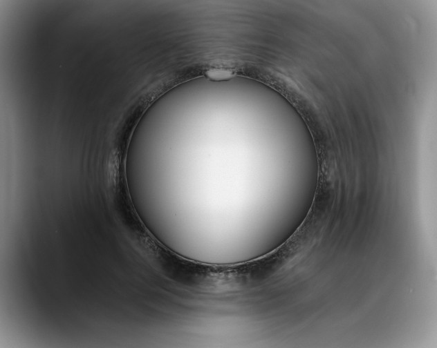 X0000089900744200707192032