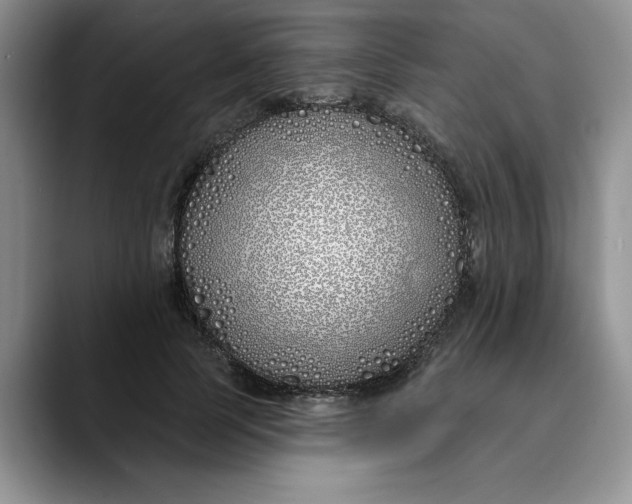 X0000089900745200707192032
