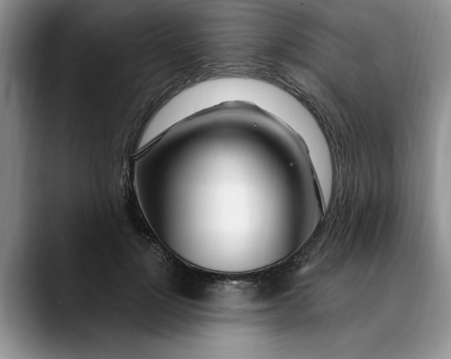 X0000089900748200707192032