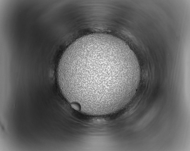 X0000089900749200707192032