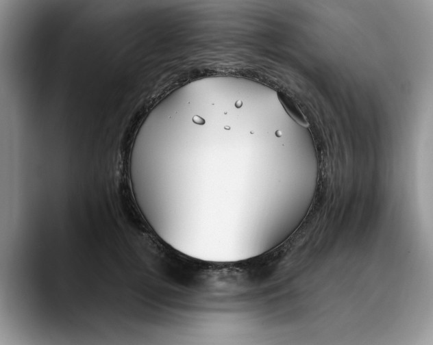 X0000089900752200707192032