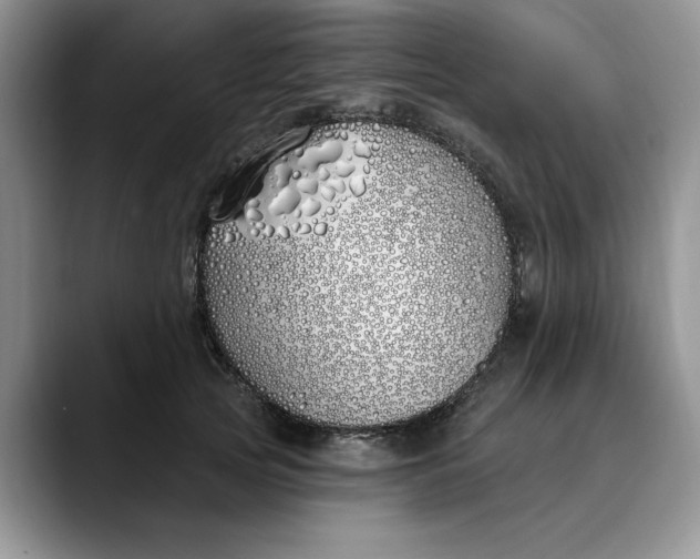 X0000089900753200707192032