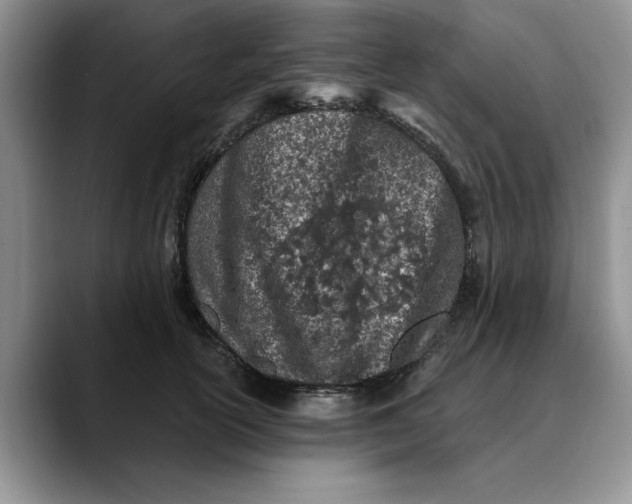 X0000089900754200707192032