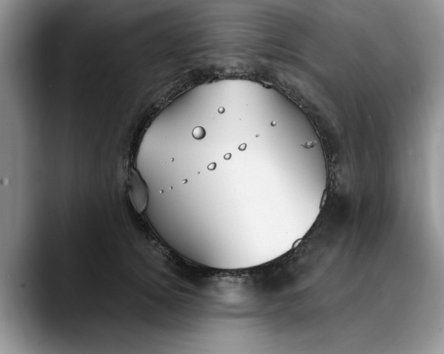 X0000089900756200707192032