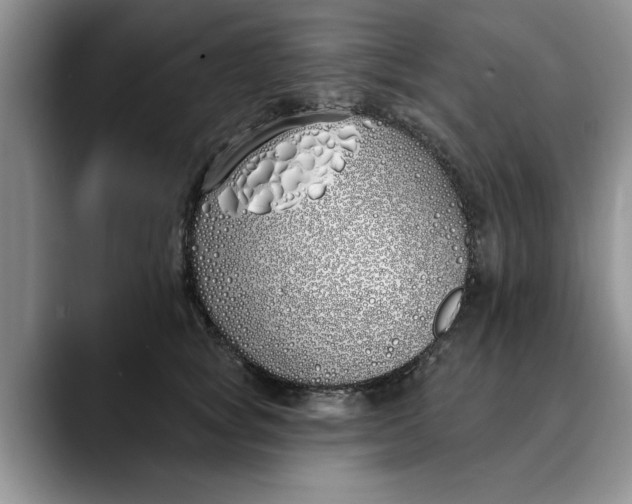 X0000089900757200707192032