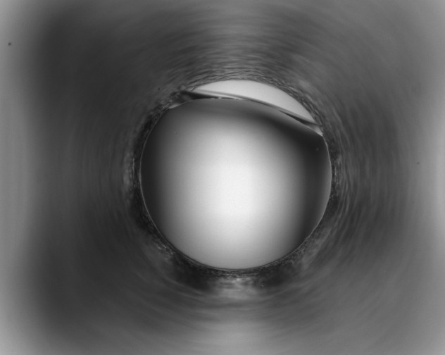 X0000089900760200707192032