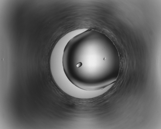 X0000089900762200707192032